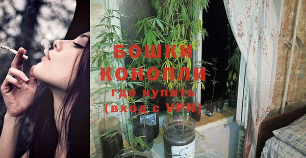 дурь Киреевск