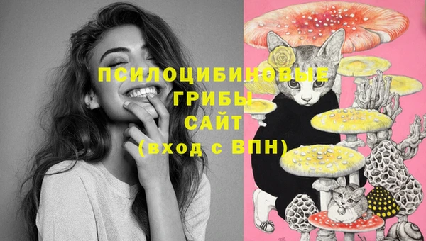 дурь Кинешма