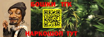 амф Гусь-Хрустальный
