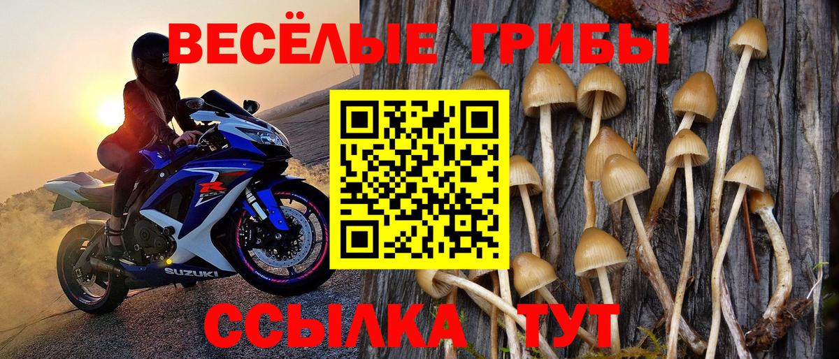 Галлюциногенные грибы Cubensis Воскресенск