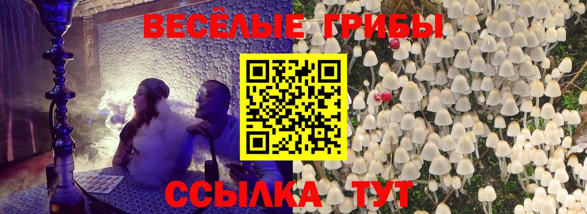 Галлюциногенные грибы MAGIC MUSHROOMS  магазин  наркотиков  Галлюциногенные грибы прущие грибы  Воскресенск 